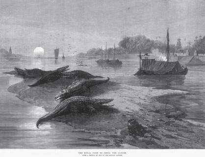 Hunting & animal views, the royal visit, the ganges, India, Asia