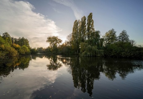 Krefeld, Niepkuhlen nature reserve, Old Rhine arm