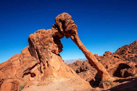 Elephant Rock, Valley of Fire State Park, Nevada, USA, North America