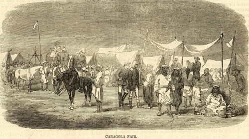 Carangola fair, India, Asia
