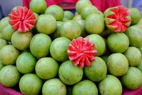 Red guava, Bhavnagar market, Gujarat, India, Asia