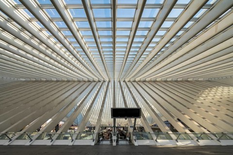 Liège, Liège-Guillemins railway station, design 2009 Santiago Calatrava, concrete pillars of the