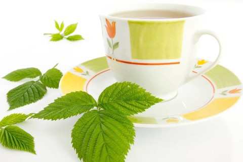 Raspberry leaf (Rubus idaeus) on a teacup