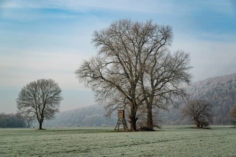 Frost-covered field with large bare trees and a raised hide, under a blue sky, near Heinsen,