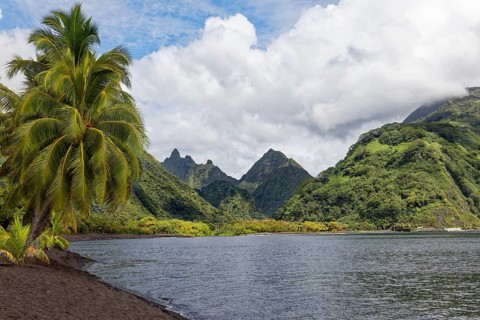 Lava beach on Taurita peninsula, beach, black, coconut palm (Cocos nucifera), back view into