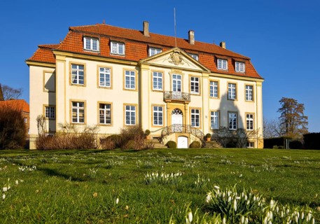 Freckenhorst Castle with snowdrops (Galanthus), Warendorf, Münsterland, North Rhine-Westphalia,