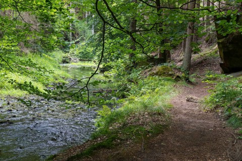 Hiking trail along the Kirnitzsch river in the Kirnitzschtal valley, Sebnitz, Saxon Switzerland,