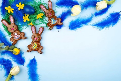 Easter bunny with colourful eggs, blue feathers and flowers on a light blue background