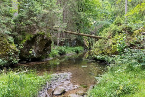 Kirnitzsch in the Kirnitzsch Valley, Sebnitz, Saxon Switzerland, Saxony, Germany, Europe