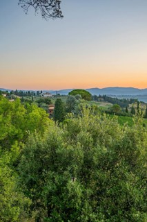 Tuscan landscape at sunrise, country estate with vineyards, forests, olive trees and cypresses in