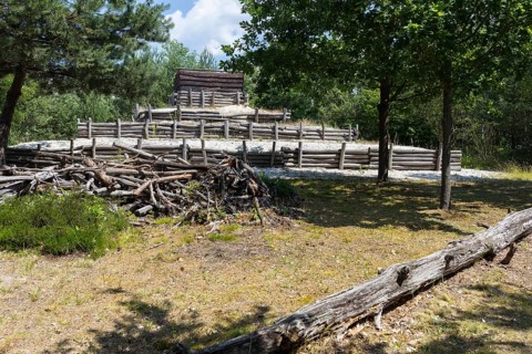 Deadwood park in the disused part of the Caminau kaolin mine, Königswartha, Saxony, Germany, Europe