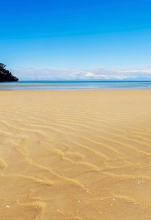 Bark Bay, Abel Tasman National Park, Nelson Region, South Island, New Zealand, Oceania