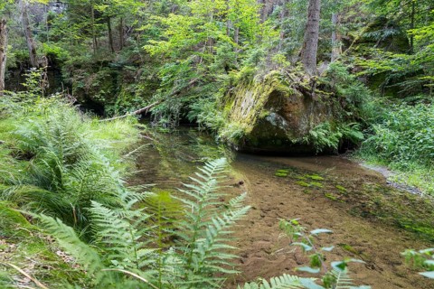Kirnitzsch in the Kirnitzsch Valley, Sebnitz, Saxon Switzerland, Saxony, Germany, Europe