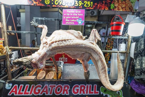 Food stall, snack bar, Alligator Grill, Khaosan Road, Bang Lam Phu district (also: Banglampoo, Phra