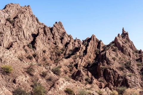 La Ciénaga Natural Area, San Juan Province, Argentina, South America