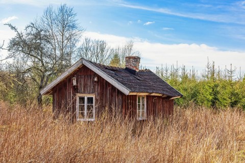 Abandoned old red wooden cottage with an overgrown garden at the edge of the forest a sunny spring