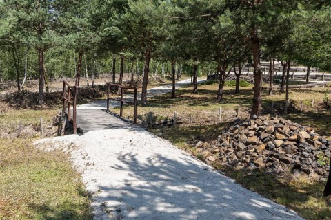 Deadwood park in the disused part of the Caminau kaolin mine, Königswartha, Saxony, Germany, Europe