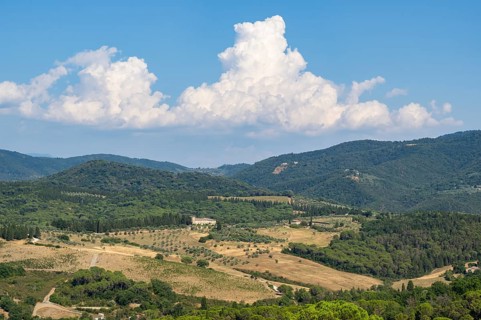 Tuscan landscape, country estate with vineyards, forests, olive trees and cypresses in Chianti,