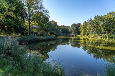 Lake in the Clara Zetkin Park in Leipzig, Saxony, Germany, Europe