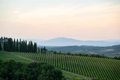 Tuscan landscape next to greve in Chianti and Montefioralle, country estate with vineyards,