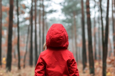 Back view of young girl in red coat in forest. Generative AI, AI generated