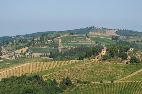 Tuscan landscape, country estate with vineyards, forests, olive trees and cypresses in Chianti,