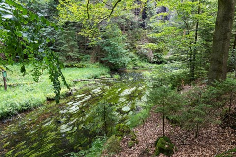 Kirnitzsch in the Kirnitzsch Valley, Sebnitz, Saxon Switzerland, Saxony, Germany, Europe