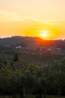 Tuscan landscape at sunset, country estate with olive trees in Chianti, Chianti Region, Tuscany,