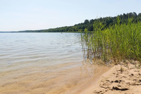 On the shore of the Scheibe-See, open-cast mining pit, which is now open for swimming, Hoyerswerda,