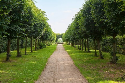 Shady path in Hundisburg Castle Park, Haldensleben, Saxony-Anhalt, Germany, Europe