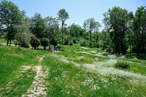 Site of the destroyed village of Fleury-devant-Douaumont, Verdun battlefield, First World War,