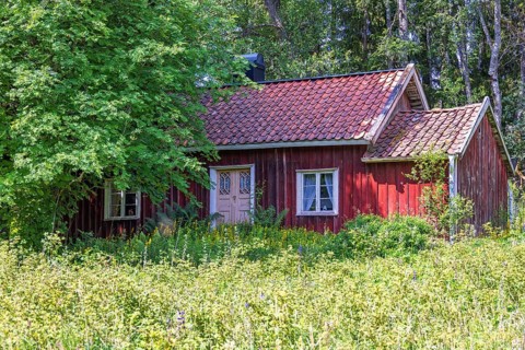 Abandoned red idyllic wooden cottage with an overgrown garden at the edge of the forest in the