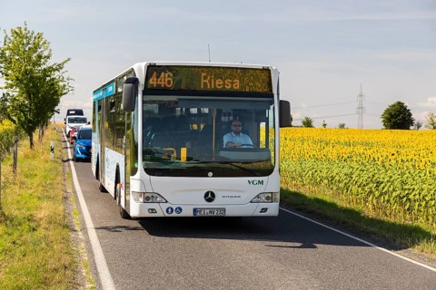 VGM bus line 446 from Meißen to Riesa between sunflower fields near Hirschstein, Saxony, Germany,
