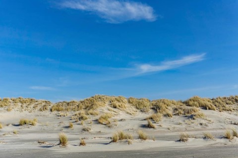 The East Frisian North Sea island of Juist in winter, dunes on the western part of the island, at