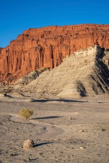 Ischigualasto Provincial Park, Villa San Agustín, San Juan Province, Argentina, South America
