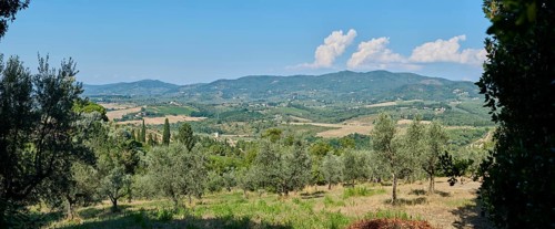 Tuscan landscape, country estate with vineyards, forests, olive trees and cypresses in Chianti,