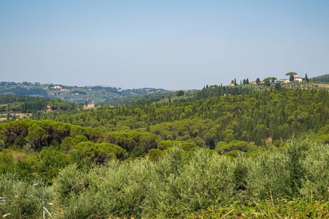 Tuscan landscape, country estate with a farm house, olive trees and forests in Chianti, Chianti