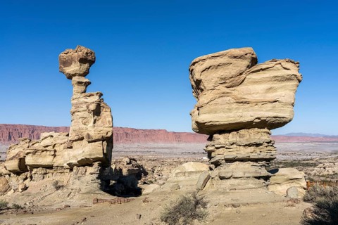 Ischigualasto Provincial Park, Villa San Agustín, San Juan Province, Argentina, South America