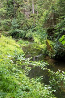 Kirnitzsch in the Kirnitzsch Valley, Sebnitz, Saxon Switzerland, Saxony, Germany, Europe