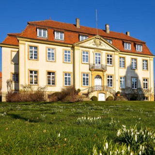 Freckenhorst Castle with snowdrops (Galanthus), Warendorf, Münsterland, North Rhine-Westphalia,