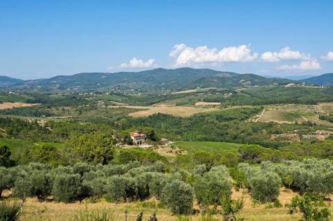 Tuscan landscape, country estate with vineyards, forests, olive trees and cypresses in Chianti,