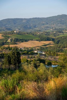 Tuscan landscape, country estate with vineyards, forests, olive trees and cypresses in Chianti,