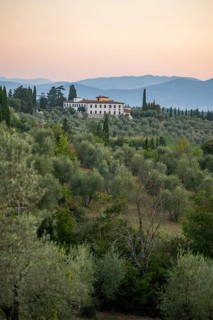 Tuscan landscape at sunrise, country estate with a farm house, vineyards, forests, olive trees and