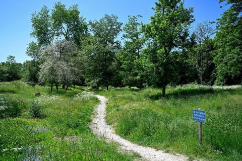Site of the destroyed village of Fleury-devant-Douaumont, Verdun battlefield, First World War,