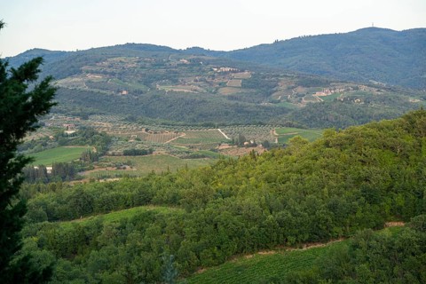 Tuscan landscape next to greve in Chianti and Montefioralle, country estate with vineyards,