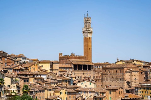 Campanile tower, Campo, Siena, Tuscany, Italy, Europe, historical, building, Siena, Tuscany, Italy,