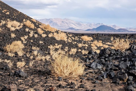 Barren desert landscape with scattered vegetation and volcanic rocks in the foreground, Argentina,