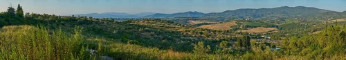 Tuscan landscape, country estate with vineyards, forests, olive trees and cypresses in Chianti,