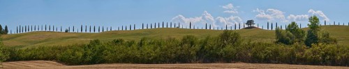 Cypress trees standing on top of a hill, Unesco world heritage site Crete Senesi, Italy, Europe