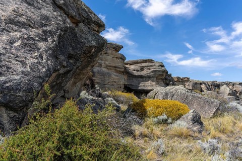 Punta Walichu, Natural and Archaeological Reserve, El Calafate, Santa Cruz, Argentina, South